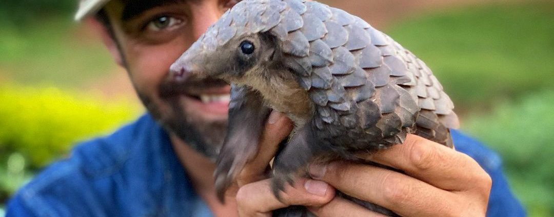 Foto de Arturo islas allende con pangolin en Uganda