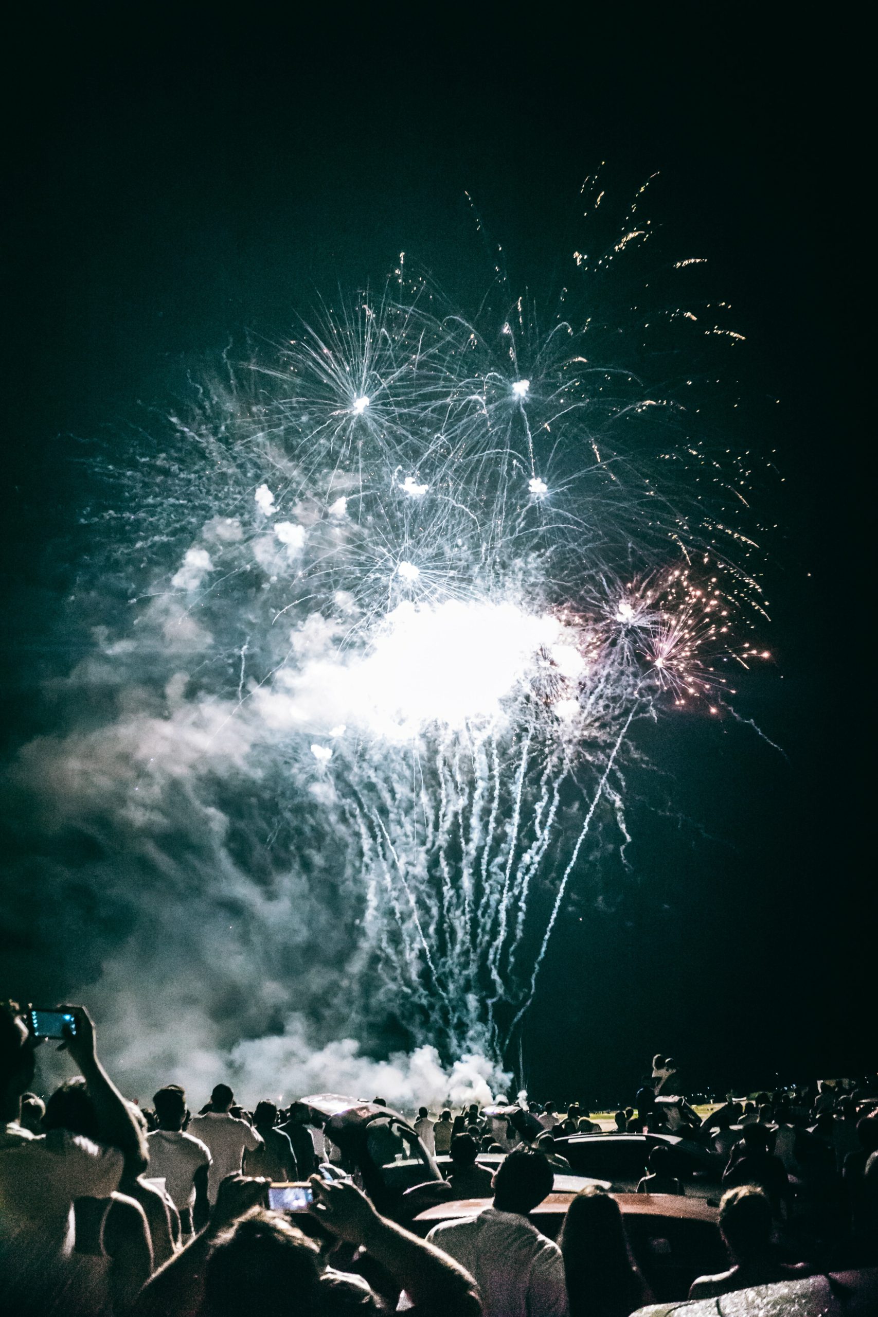 Survival Guide: Coca-Cola Flow Fest 2021
