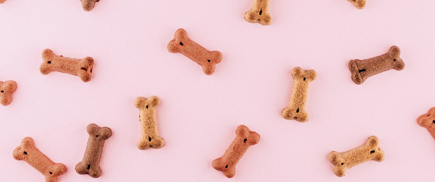 Treats, recetas, caseras, perros, mascotas, saludable