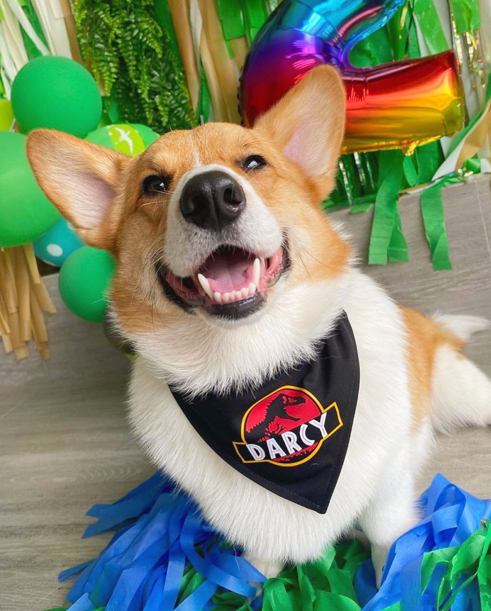 Encuentra los mejores artículos para perritos: Vulpezmx