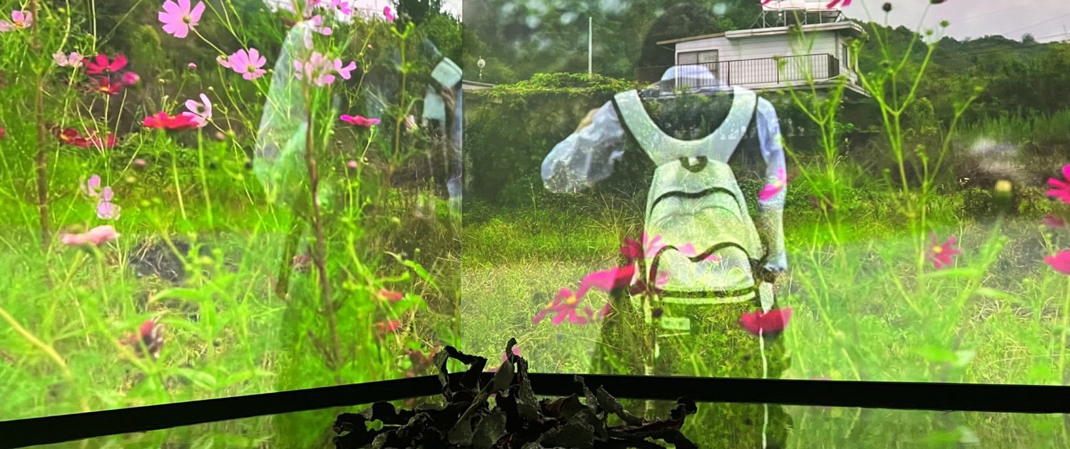 Proyecto, Erik Meyenberg, Arte Abierto, exposición, videoinstalación, pantallas, esculturas, cerámica