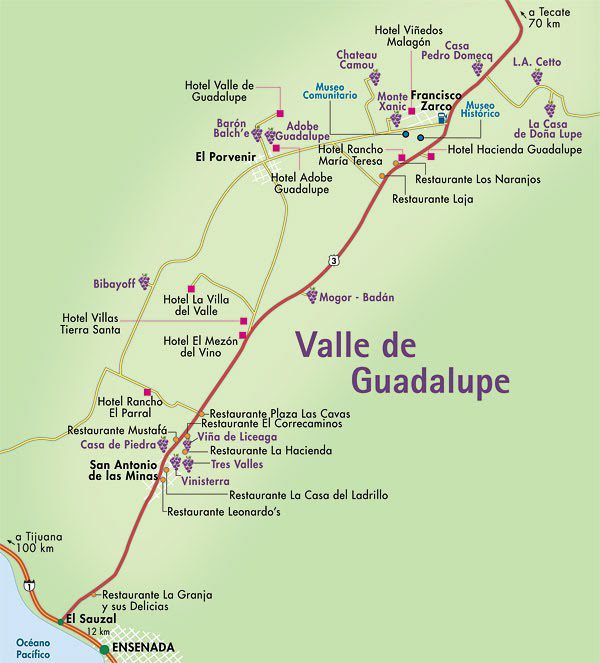El Valle de Guadalupe: viñedos y gastronomía