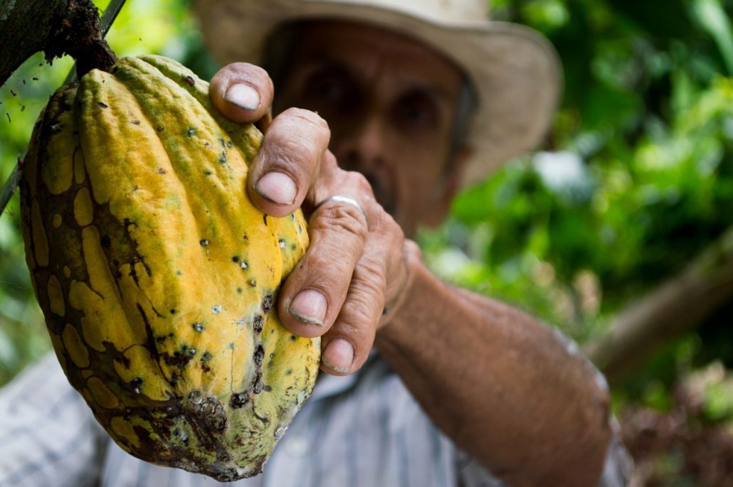 La historia detrás del chocolate de tus chocolates favoritos