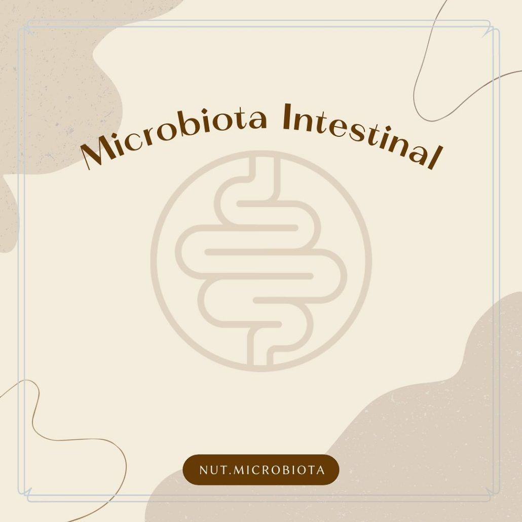 Hablemos sobre la microbiota intestinal