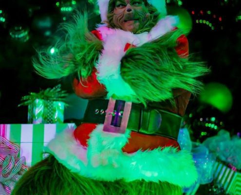 Fun facts de la película “The Grinch”