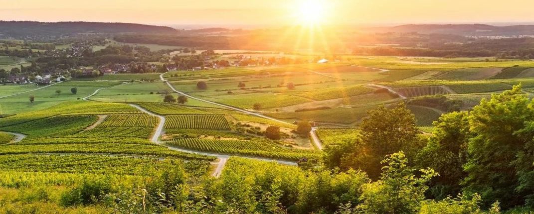 Jura: El lugar en Francia que no puedes dejar de visitar si eres amante de los vinos
