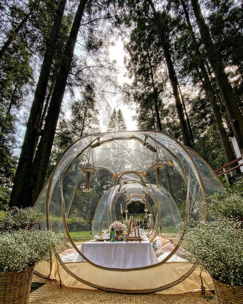 Bubble Picnic: vive esta experiencia