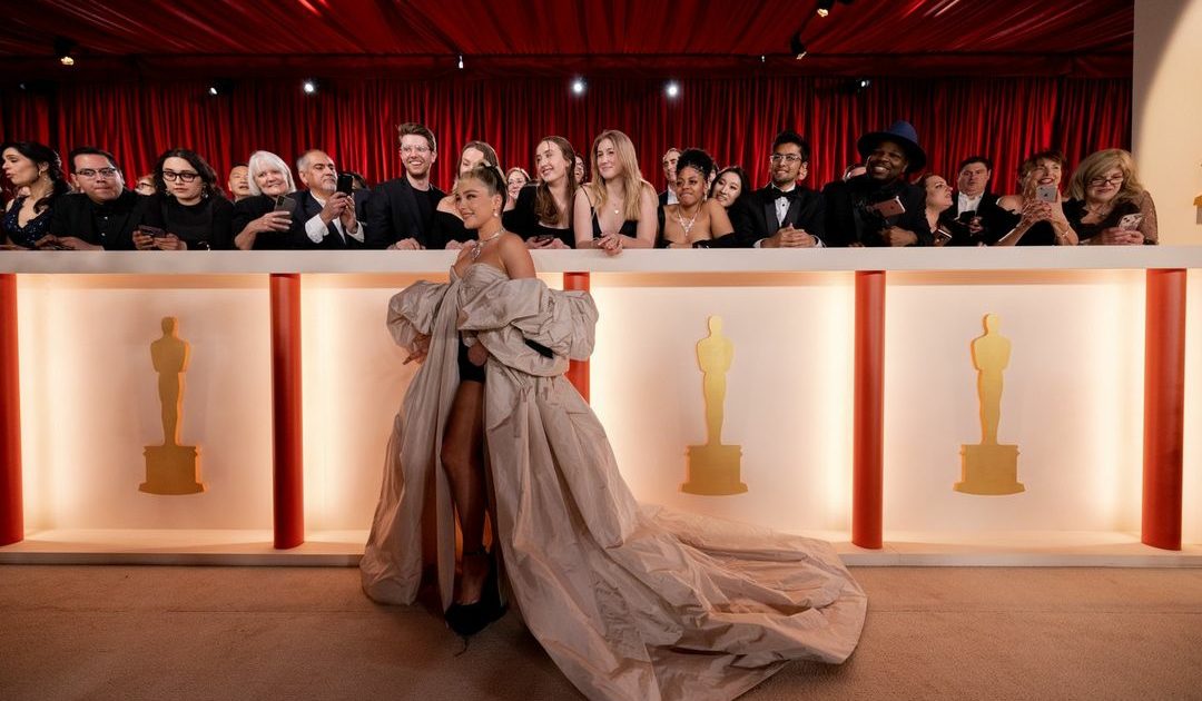 Oscar, premios oscar, categorías, nominados, ganadores, 2023, mejor película, mejor guión