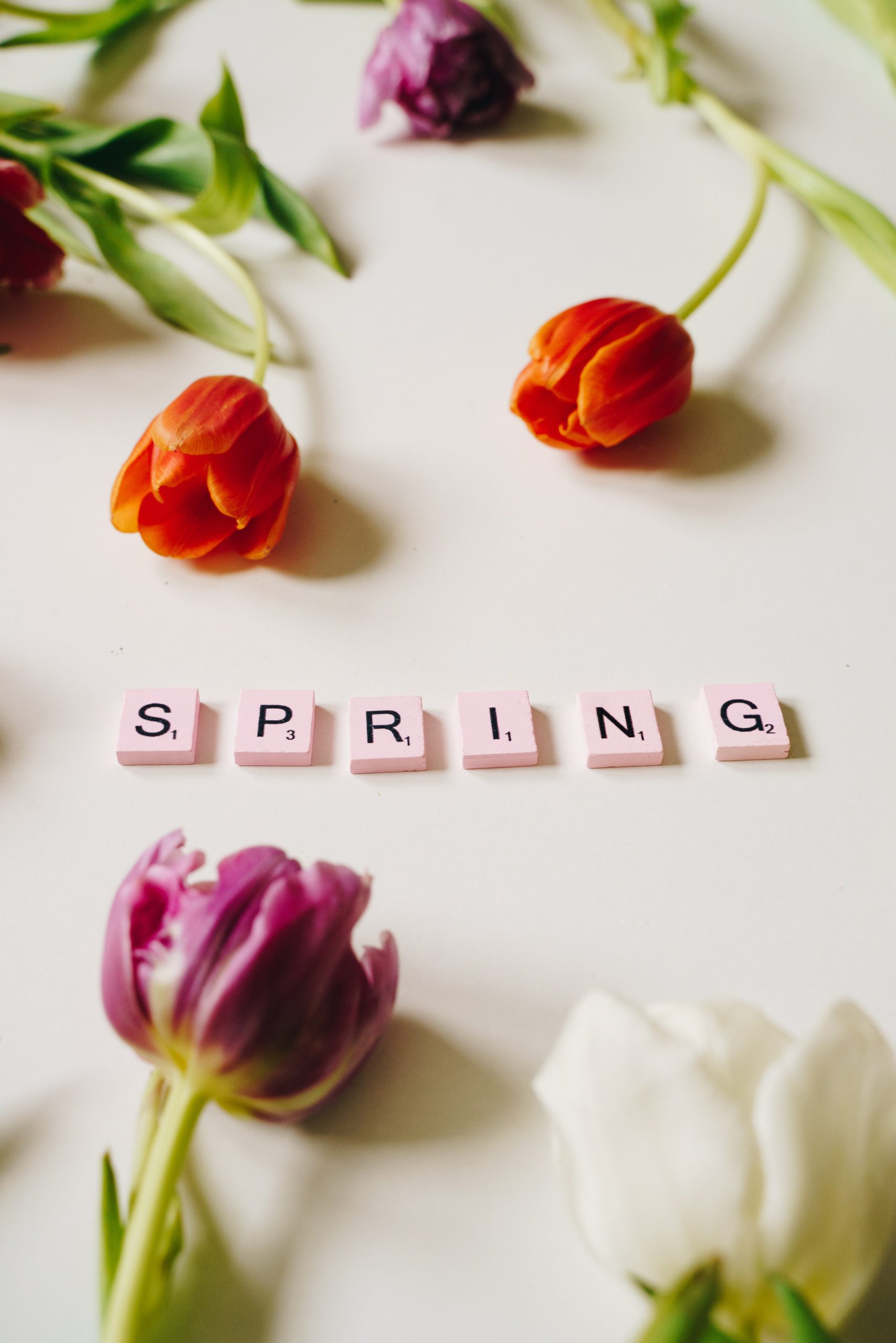 Rituales para recibir la primavera