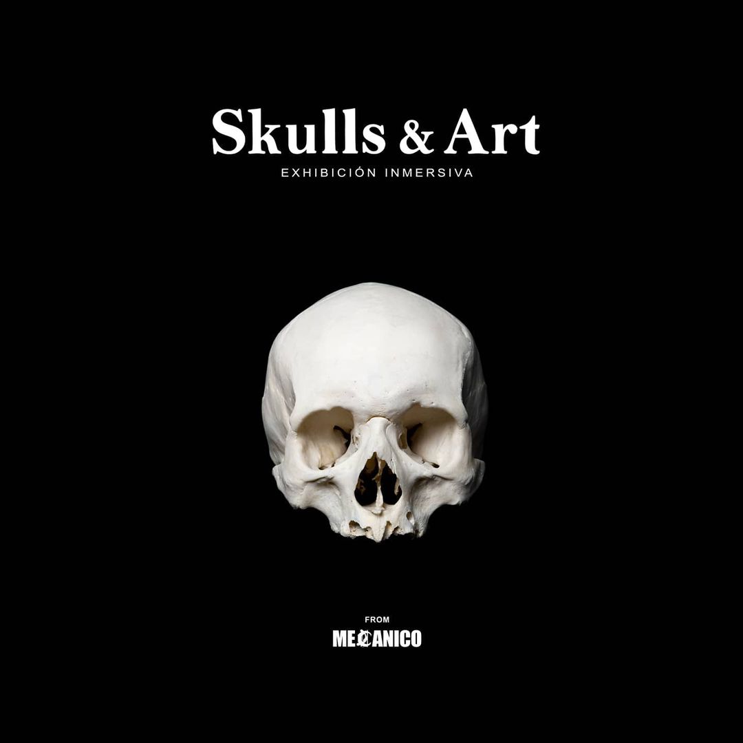 Skulls and art: Exhibición que tienes que conocer