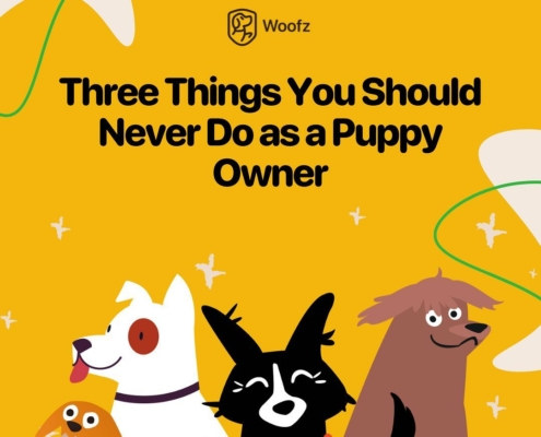 Woofz App: Dog Training