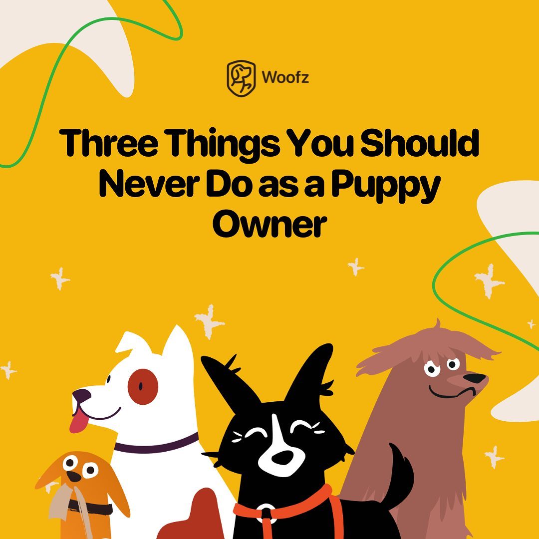 Woofz App: Dog Training
