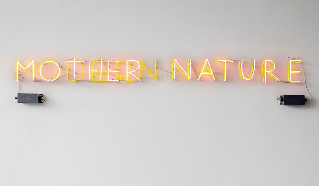 mother nature, modern nature, exposición,artz pedregal, centro comercial, naturaleza, gabriela galván, arte abierto