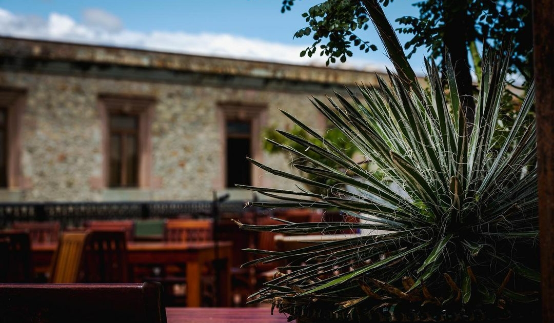 Oaxaca, mejor ciudad, paisajes, calidez, restaurantes, actividades