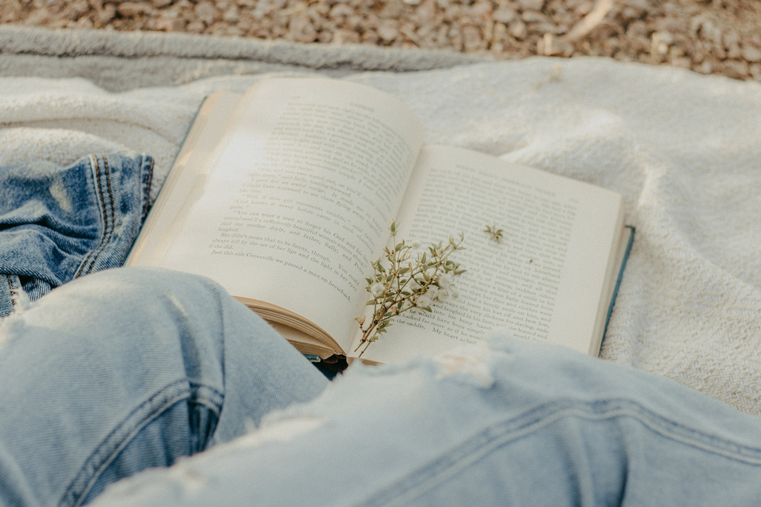 libros trending en booktok