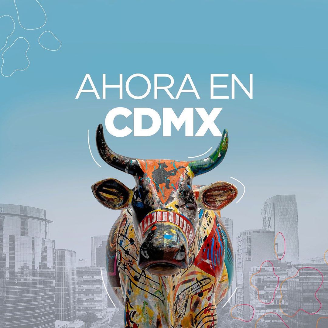 Vacas de colores en reforma