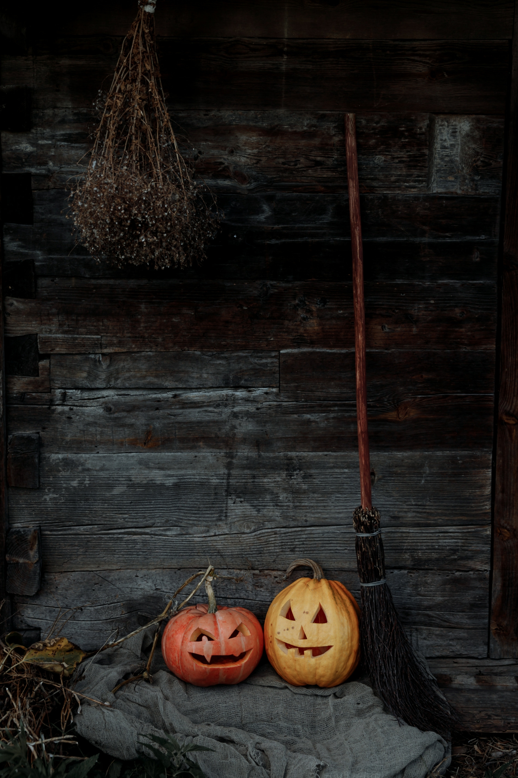 spooky books