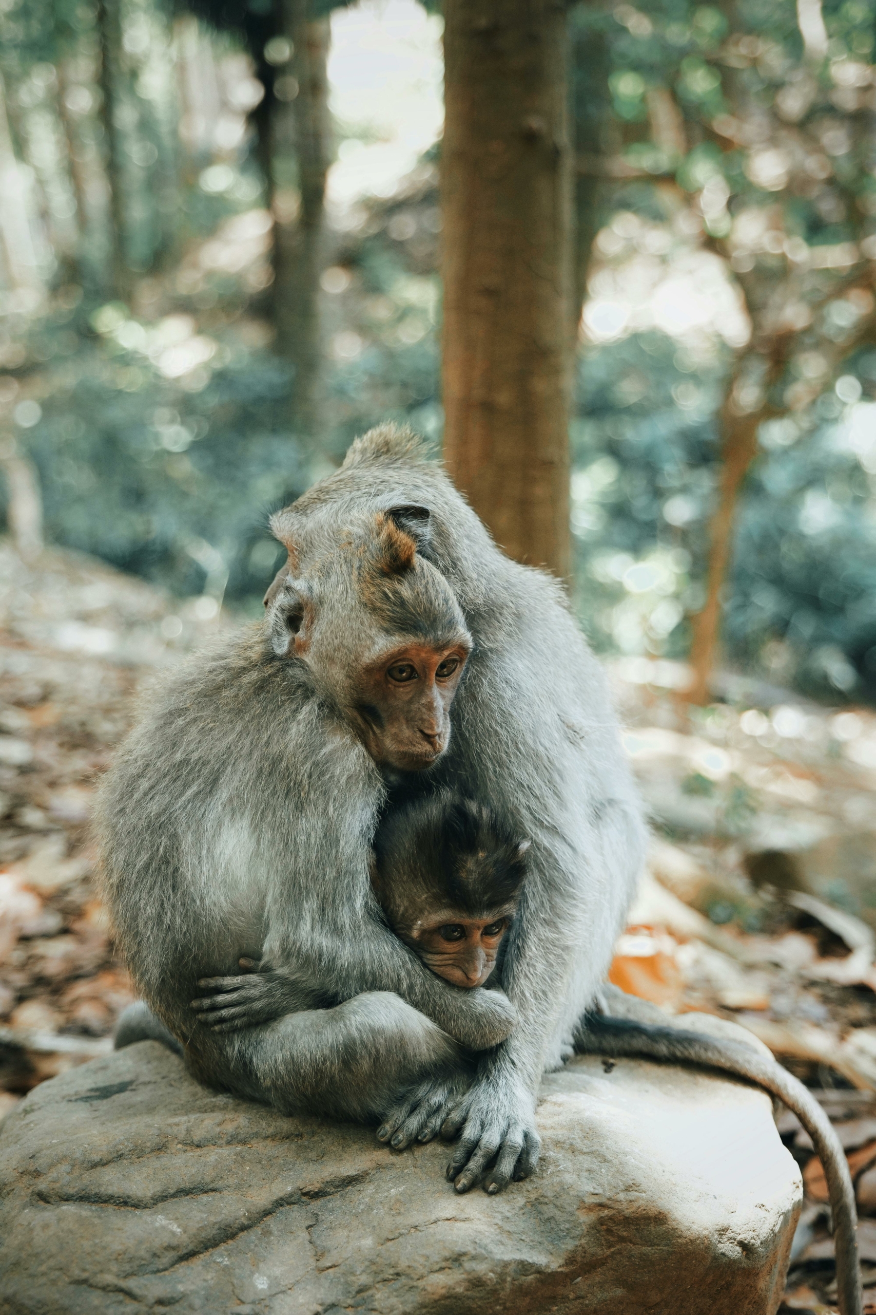 Propósito de año nuevo ¡Ser cruelty free!