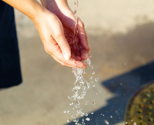 ¿cómo podemos ahorrar agua?