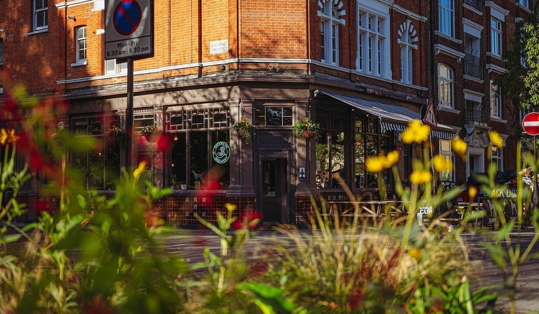 The black dog, bar, pub, londres, viral, taylor swift, taylormania, the tortured poets department, canción