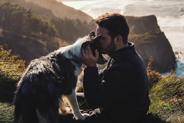 Fotógrafo, frases, perro, viajes, motivación