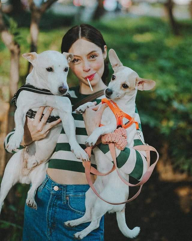 Influencers con perritos adoptados