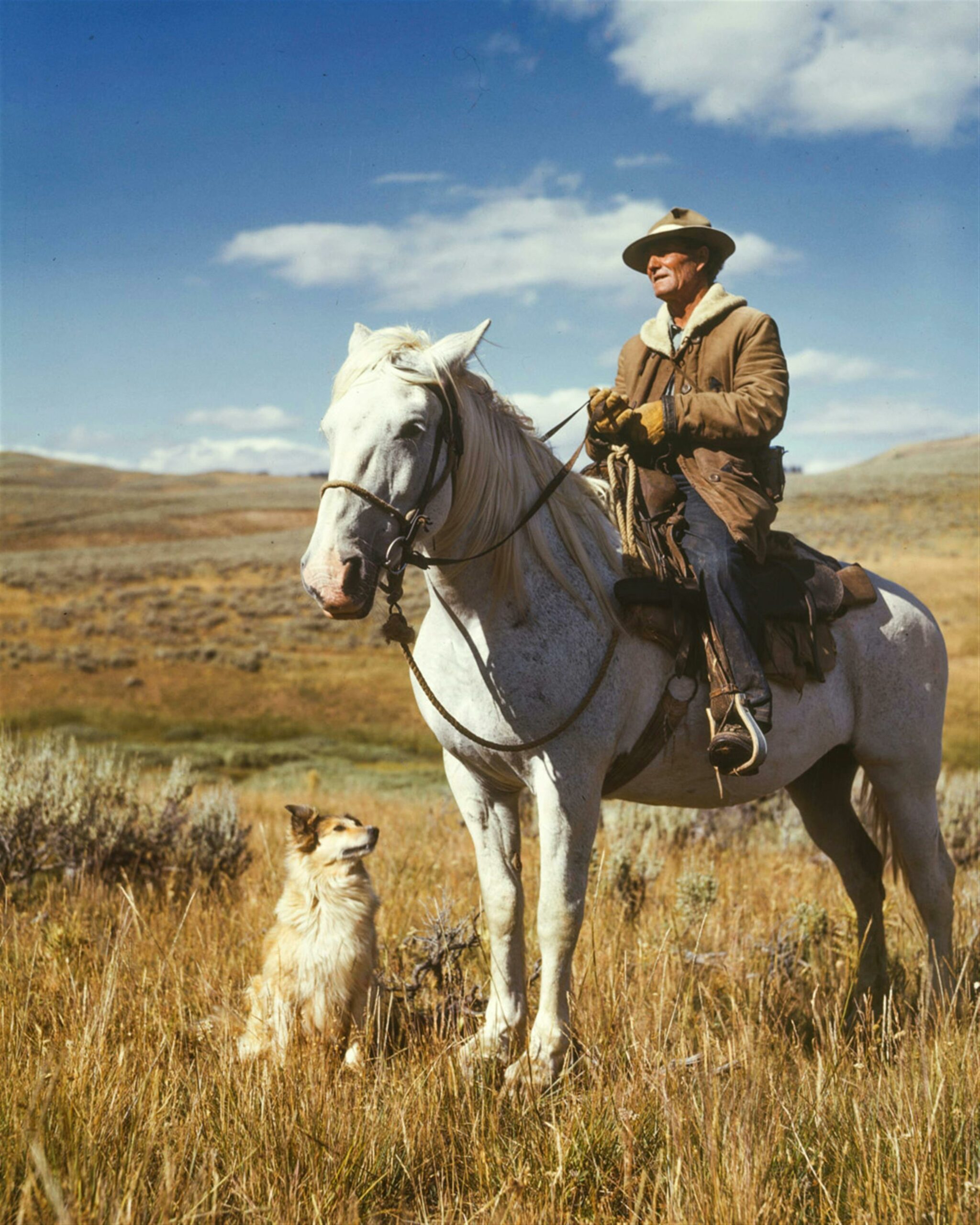 ¿Por qué se celebra el día de los animales?